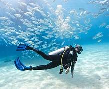 Scuba Diving Goa Tour